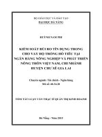 Kiểm soát rủi ro tín dụng trong cho vay hộ trồng hồ tiêu tại ngân hàng nông nghiệp & PTNT Việt Nam, chi nhánh Huyện Chư Sê, Tỉnh Gia Lai