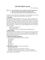 Siêu âm còn ống động mạch