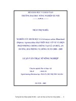 Nghiên cứu ruồi đục lá liriomyza sativae blanchard (diptera agromyzidae) hại trên đậu cove và biện pháp phòng chống chúng tại xã an hoà,an dương,hải phòng vụ đông xuân