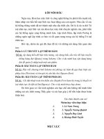 Hãy viết chương trình Scheme mô phỏng các hàm đệ quy thực hiện các phép chia (Division) và tìm giá trị căn bậc hai (Square Root)