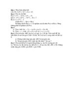 ĐỀ THI TOÁN CUỐI HỌC KỲ 2 NĂM 2010-2011