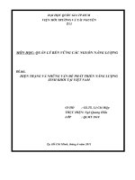 HIỆN TRẠNG VÀ NHỮNG VẤN ĐỀ PHÁT TRIỂN NĂNG LƯỢNG   SINH KHỐI TẠI VIỆT NAM