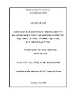Luận văn thạc sĩ Kiểm soát rủi ro tín dụng trong cho vay khách hàng cá nhân tại ngân hàng TMCP công thương Việt Nam, chi nhánh Đăk Nông (full)