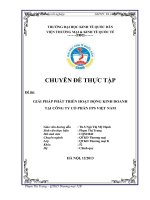 Giải pháp phát triển hoạt động kinh doanh của Công ty Cổ phần FPS Việt Nam