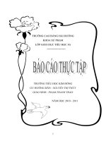 BÁO CÁO THU HOẠCH THỰC TẬP SƯ PHẠM CỦA CÁ NHÂN SINH VIÊN