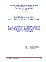 năng lượng sinh khối và nhiên  liệu sinh học – tiềm năng phát   triển ở việt nam
