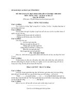 Đề thi HSG năm 2009 - 2010 Tỉnh Vĩnh Phúc