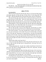 Sáng kiến kinh nghiệm giảng dạy tiểu học