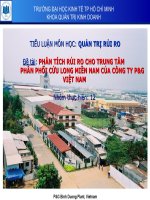 BÀI TIỂU LUẬN MÔN HỌC QUẢN TRỊ RỦI RO KIỂM SOÁT RỦI RO TRONG HOẠT ĐỘNG CỦA TRUNG TÂM PHÂN PHỐI CỬU LONG THUỘC KHU VỰC MIỀN NAM - CÔNG TY P&G VIỆT NAM