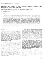 Nghiên cứu ảnh hưởng của hoạt chât SBVN đến hoạt động của gen OCT4 bằng kỹ thuật Real - Time PCR