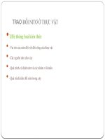 bai 3.trao đổi nitơ ở thực vật