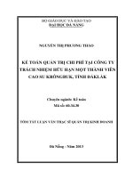 Kế toán quản trị chi phí tại công ty TNHH MTV cao su krôngbuk, tỉnh đăklăk