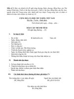 Mẫu BC thành tích CSTĐ tỉnh