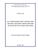 Luận án tiến sĩ dạy chỉnh trị đọc hiểu cho học sinh tiểu học chậm phát triển ranh giới dưới góc độ tâm lý học thần kinh