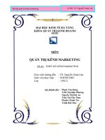 Bài tập quản trị kênh marketing THIẾT KẾ KÊNH MARKETING