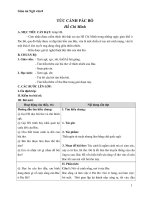 Giáo án tức cảnh pác bó ngữ văn 8