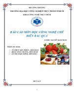 Công Nghệ Sản Xuất Đồ Hộp Mứt đông