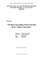 Sử dụng năng lượng ethanol sinh học từ các cellulase thủy phân