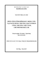 Phân tích tình hình huy động vốn tại ngân hàng TMCP công thương Việt Nam, chi nhánh Đăk LăK