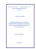 Thành phần thiên địch của sâu hại ngô, đặc điểm sinh học, sinh thái của bọ cánh cộc (paederus fuscipes curtis) trên ngô năm 2013   2014 tại gia lâm, hà nội