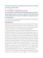 TỔNG QUAN THỊ TRƯỜNG TÀI CHÍNH VIỆT NAM NĂM 2010 VÀ BÀI HỌC CHO NHỮNG NĂM TIẾP