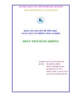 BÁO cáo CHUYÊN đề môn học NGĂN NGỪA ô NHIỄM CÔNG NGHIỆP PHÁT THẢI BẰNG KHÔNG