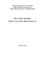 Đề cương môn học pháp luật Liên minh châu Âu
