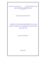 Nghiên cứu một số đặc điểm bệnh lý của chó được gây bệnh thực nghiệm bằng chủng virus care (CDV   768)