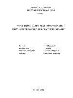 THỰC TRẠNG và GIẢI PHÁP HOÀN THIỆN CHO CHIẾN lược MARKETING MIX của THẺ FLEXICARD