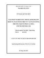 Luận văn thạc sĩ Giải pháp marketing trong kinh doanh dịch vụ ngân hàng điện tử tại ngân hàng TMCP Á Châu, chi nhánh Đăk Lắk (full)