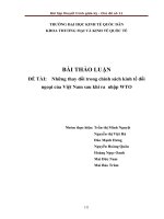 Những thay đổi trong chính sách kinh tế đối ngoại của Việt Nam sau khi ra  nhập WTO