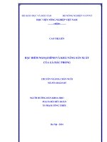 Đặc điểm ngoại hình và khả năng sản xuất của gà hắc phong