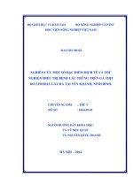 Nghiên cứu một số đặc điểm dịch tễ và thử nghiệm điều trị bệnh cầu trùng trên gà thịt do eimeria gây ra tại yên khánh, ninh bình