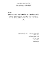Những giải pháp thúc đẩy xuất khẩu hàng hóa Việt Nam vào thị trường EU-2003(1)