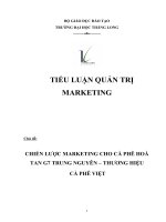 CHIẾN LƯỢC MARKETING CHO CÀ PHÊ HOÀ TAN G7 TRUNG NGUYÊN – THƯƠNG HIỆU CÀ phê Việt