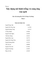 Xây dựng mô hình trồng và cung ứng rau sạch