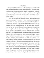 báo cáo thực tập khoa kế toán đại học thăng long tại công ty cổ phần phần mềm quản lý doanh nghiệp (FAST)