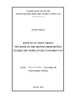 Kinh tế tư nhân trong nền kinh tế thị trường định hướng xã hội chủ nghĩa ở Việt Nam hiện nay