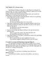 lí thuyết NGỮ ĐỘNG từ