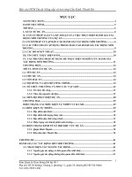 Báo cáo đánh giá tác động môi trường dự án nâng cấp mở rộng Cầu Kinh, Thanh Đa