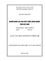 Nguồn nhân lực cho phát triển công nghiệp tỉnh Bắc Ninh (Luận văn ThS)