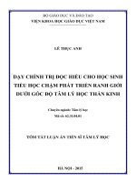 tóm tắt luận án  dạy chỉnh trị đọc hiểu cho học sinh tiểu học chậm phát triển ranh giới dưới góc độ tâm lý học thần kinh