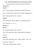 CÁC CHUYÊN ĐỀ KIỂM TRA CHUYÊN HOÁ THPT