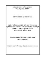 Giải pháp hạn chế rủi ro tín dụng tại chi nhánh ngân hàng NN&PTNT Quận Ngũ Hành Sơn