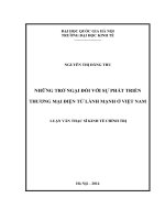 Những trở ngại đối với sự phát triển thương mại điện tử lành mạnh ở Việt Nam