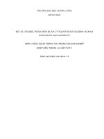 ỨNG DỤNG PHẦN MỀM QUẢN LÝ NGUỒN NHÂN SỰ MISAHRM TẠI CÔNG TY CP AUSTDOOR VIỆT NAM