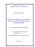 Giải pháp phát triển dịch vụ viễn thông di động tại các chi nhánh viễn thông viettel thành phố thái bình
