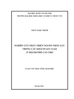 Nghiên cứu phát triển nguồn nhân lực trong các khách sạn 4 sao ở thành phố Cần Thơ Luận văn ThS. Du lịch
