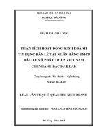 Luận văn thạc sĩ Phân tích hoạt động kinh doanh tín dụng bán lẻ tại ngân hàng TMCP đầu tư và phát triển Việt Nam chi nhánh Bắc Đăk Lăk (full)