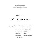 báo cáo thực tập khoa kế toán đại học thăng long tại công ty TNHH DOME